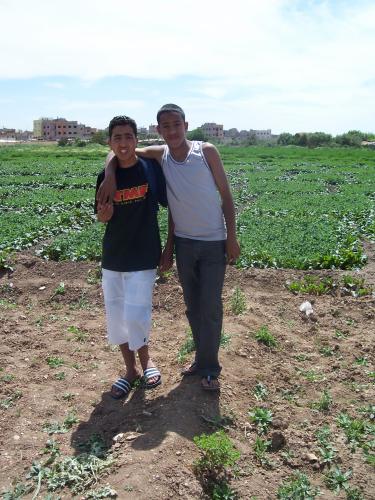 ci moi et simo